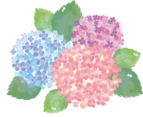 今日は紫陽花をトイレに