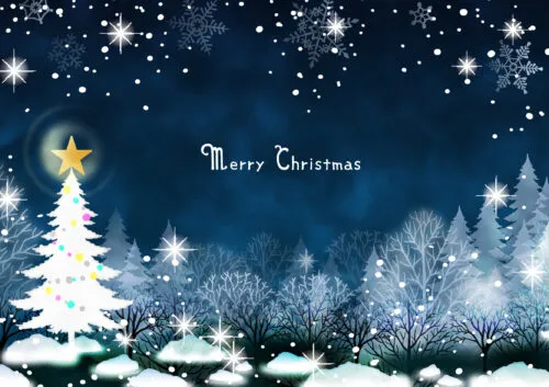今宵はクリスマス🎄イブ