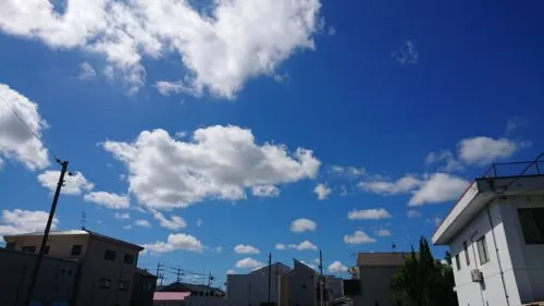 ワクチン接種してきました！