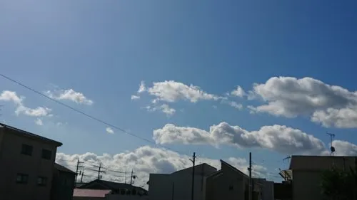 毎年起こるダイアリーの摩訶不思議⁉