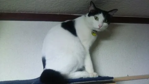 今どき豆腐やさん！