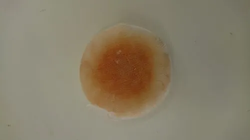 今週は天気が不安定・・・(;´Д｀)