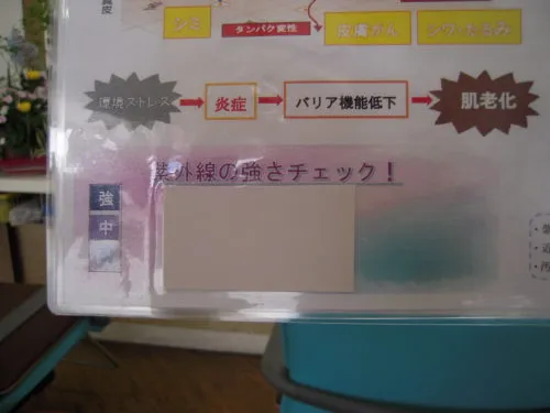 近畿やっと梅雨入りしましたね(^^♪