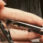 カット